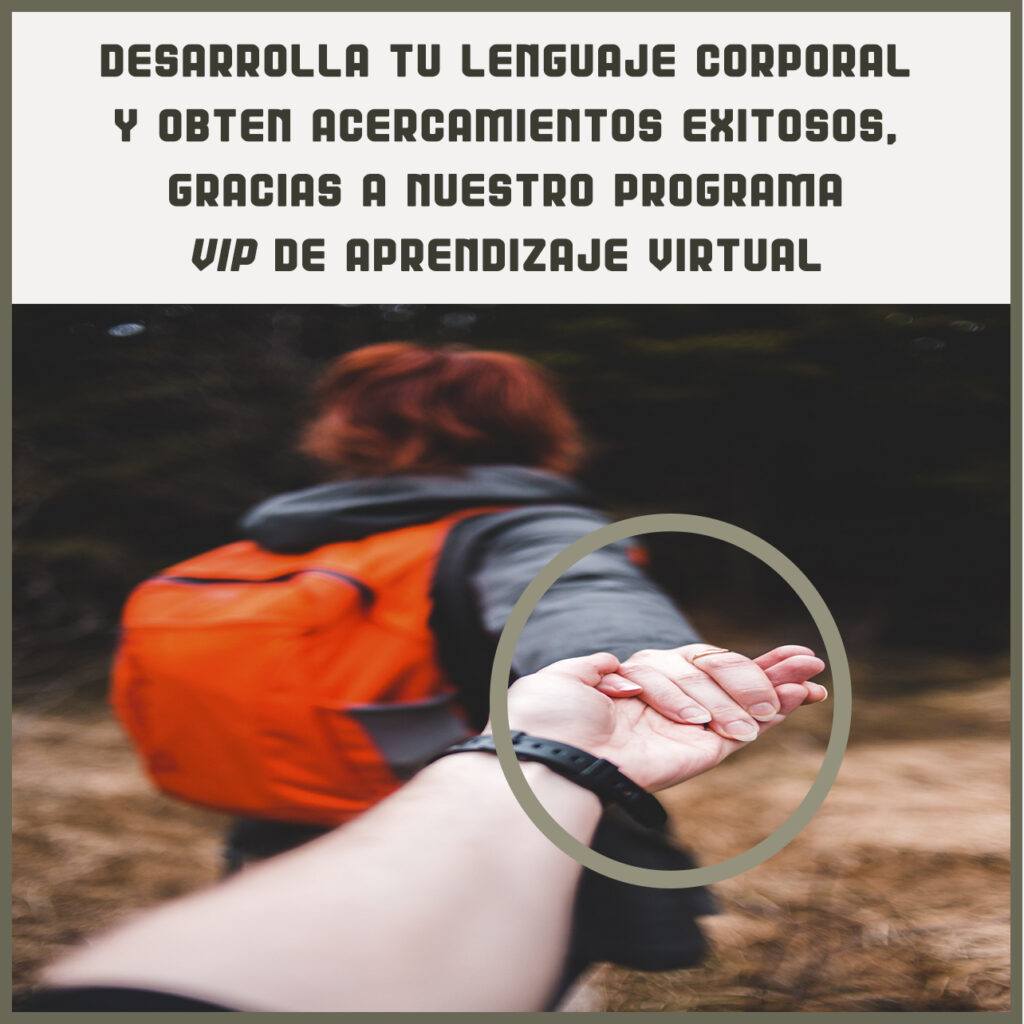 Publicidad