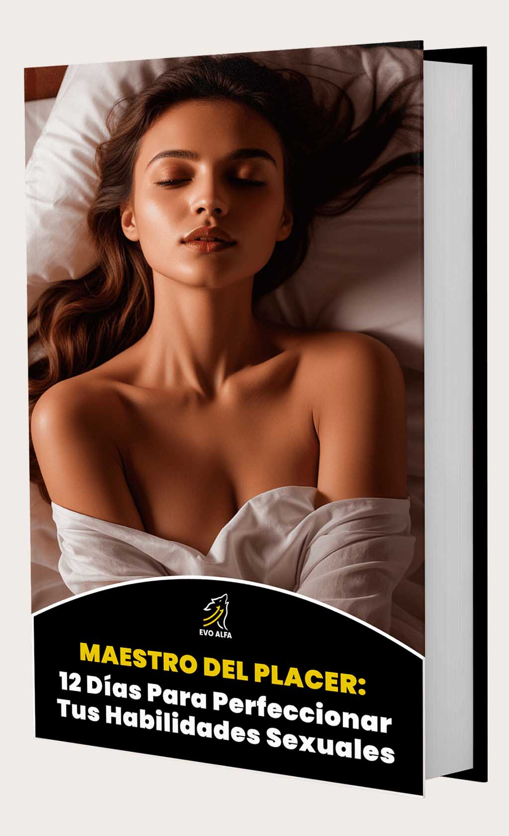 sitio web